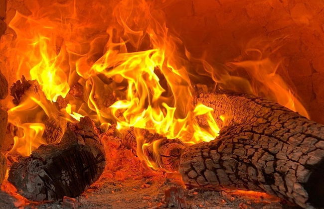 Dark Green House - Chacras de Coria - Photo 25