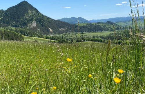 Apartament Pod Zamczyskiem - Photo 32