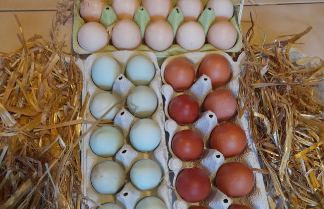 Chalet Sven - Foto 36