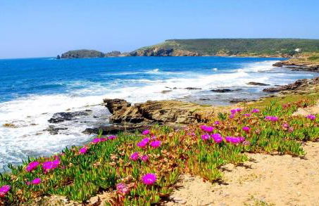 Su Sattisceddu - Foto 16