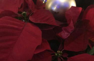 El Lagar de los Abuelos - Foto 51