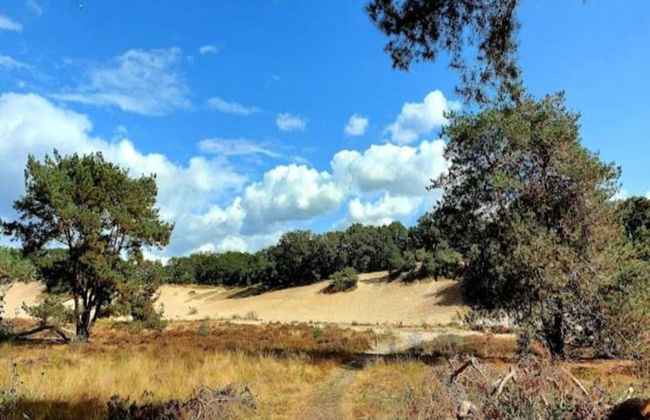 Villa in Sandberghe With Sauna and Comfort - Photo 37