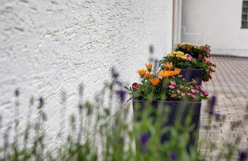 Haus Steinheim - Foto 25