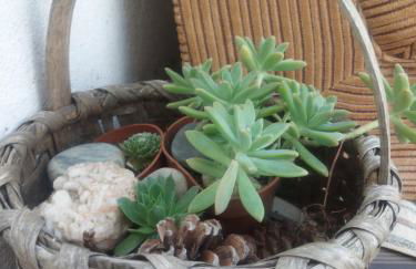 D. MariAntónia Complexo Turístico - Foto 38