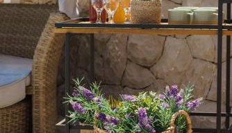 Apartments Antonia - Foto 5