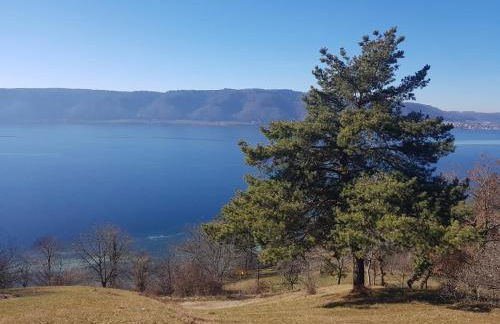 Historisches Fachwerkhaus "Hoher Hirschen" mit romantischem Hof und Garten - Charmantes Studio und grosses, museales Apartment - Foto 10