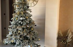 Villa Oasis - Photo 5