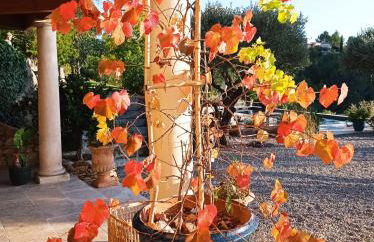 Castel'lodge - Foto 31