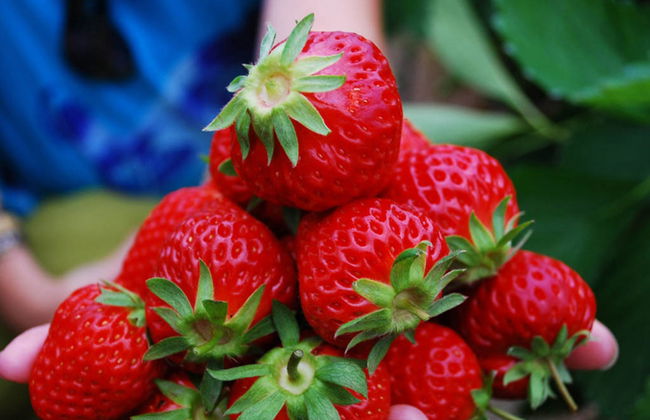 Excursión de día completo a Kawah Putih y Ranca Upas Water Village - Foto 4