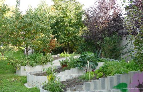 "Balmgarten" im Naturpark Usedom, Bio Solarhaus mit großem Garten - Foto 75