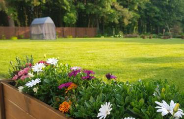 Łap Las Pelnik - Photo 51