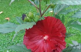 Agroturystyka Stokrotka - Foto 55