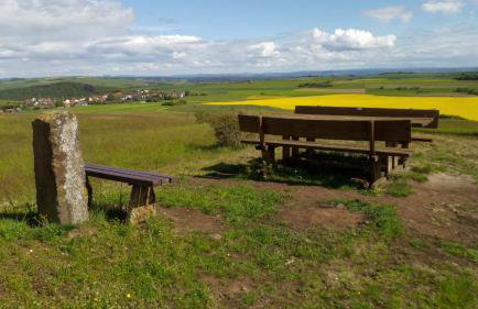 tiny house Pfalz Wellness und Wanderurlaub - Foto 48