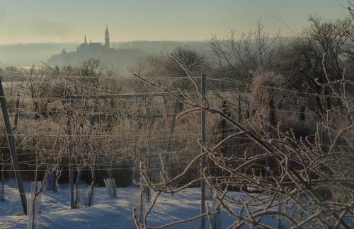 Quartier Rottewitz - Foto 24