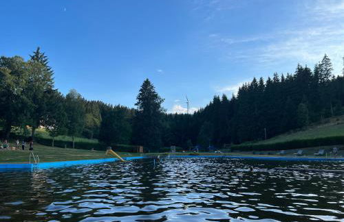 Apartment Schwarzwald-Anni Pool Tennis Sauna - Foto 30