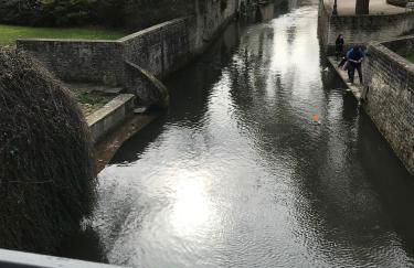 La maison des Teinturiers maison de ville avec jardin - Photo 30