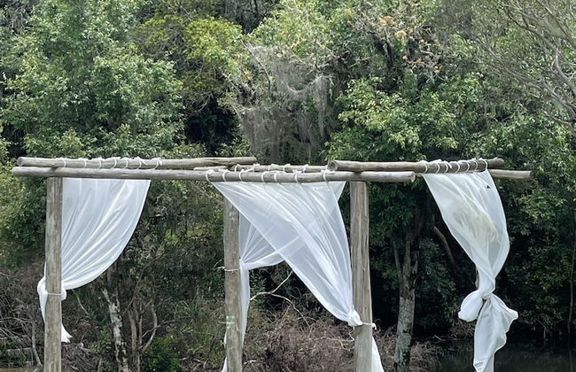 Fazenda de Morangos - Foto 7