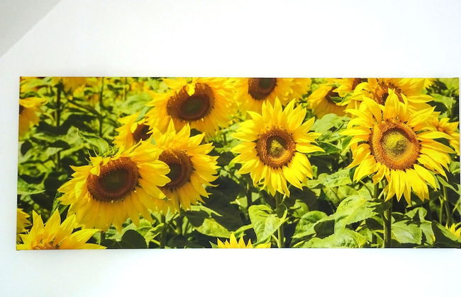 Ein Bett im Norden Nr. 10 - Foto 34