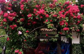 Apartamentos Samelar - Foto 26