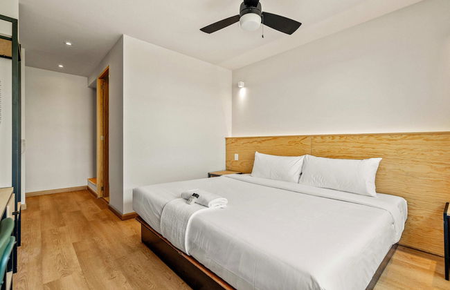 Musgo by Homirent - Foto 4