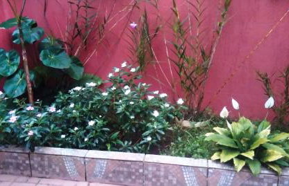 Cantinho da Paz - Foto 7