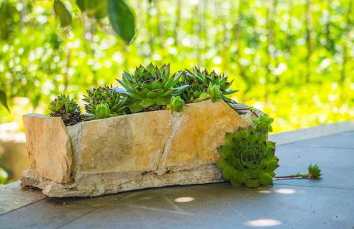 Cozy and nice apartment - Foto 25