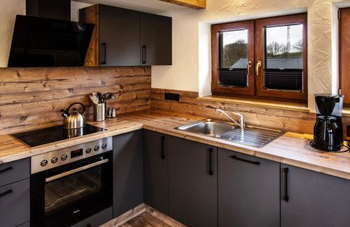 Ferienhäuser Seiffen - Foto 24