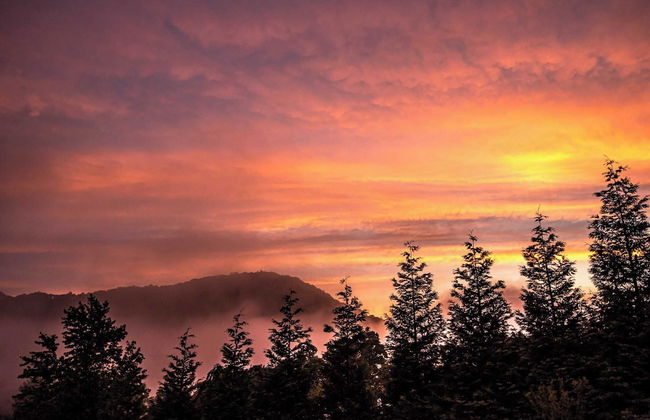 Hickory Nut Hideaway by Avantstay Mountain Views - Foto 6