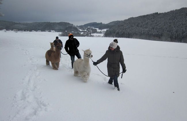 Holiday Apartment Alpakahof Blomberg - Foto 10