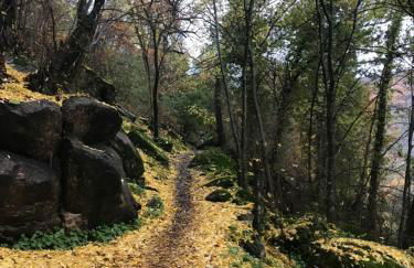 LA GARGANTILLA - Foto 28