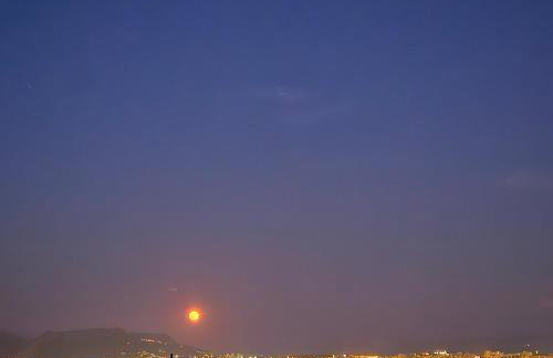 Sunflower Apartment - Photo 42