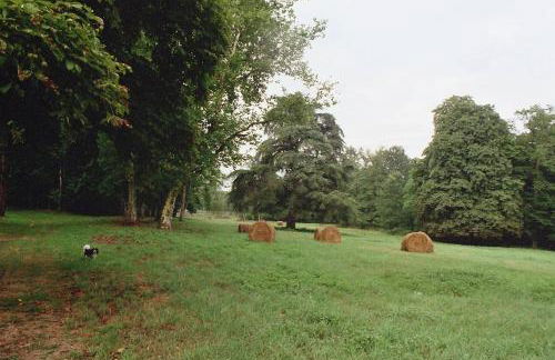 Château Le Brun - Loire Valley and vineyards - Foto 37