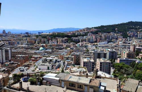 Donny Dude Panorama - Foto 28