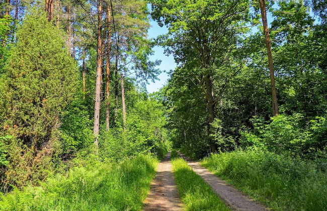 7 Person Holiday Home in Odensbacken - Foto 5