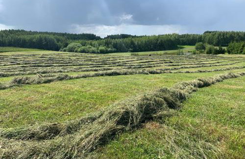 Siedlisko Wiłkupie, Dom nad stawem - Foto 26