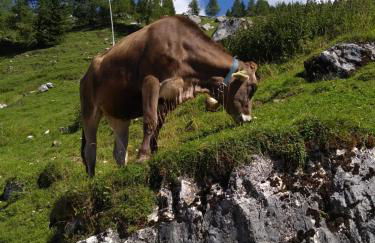 Residenza Letizia - Foto 8