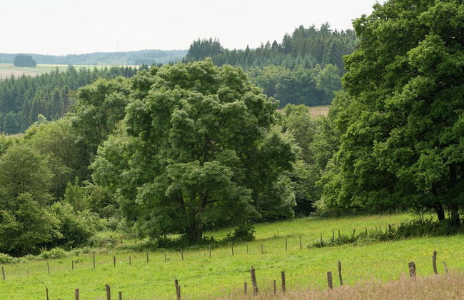 Rustic Cottage in Jevigne - Foto 23