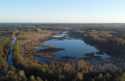 HEXAGON HONEY HOUSE+ prywatna plaża+jezioro+ stawy+ gospodarstwo+ pasieka - Foto 34