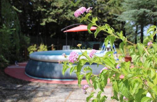 Le Conifere - Foto 22