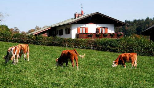 Wohnpark Falkenfels - Foto 3