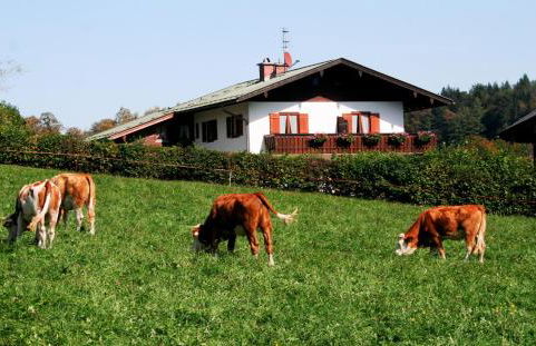 Wohnpark Falkenfels - Foto 3