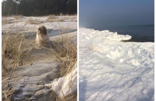 Ferienwohnung mit Terrasse - Insel Usedom - Foto 63