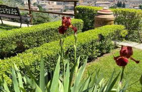 Agriturismo Collerisana - Photo 9