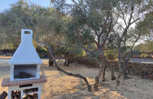 Cuile Casari - Foto 23