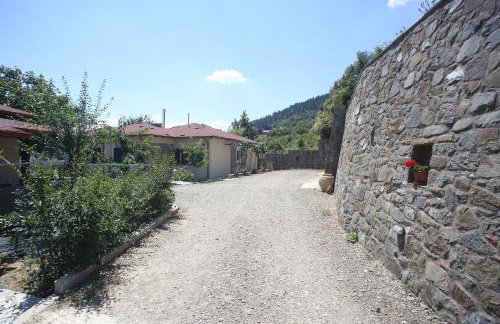 Morchella MushROOM - Foto 18