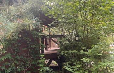 Mystic Ivy - Foto 17