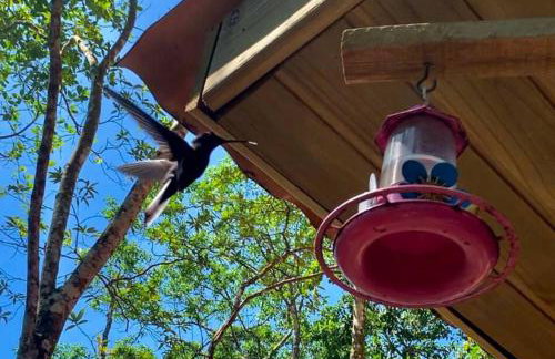 Eco Cabana a 150 metros da praia e centrinho - Foto 22