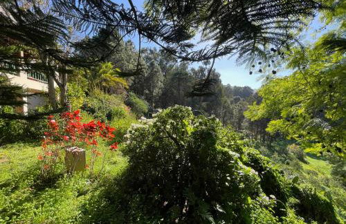 Finca El Lance Zumacal - Foto 22