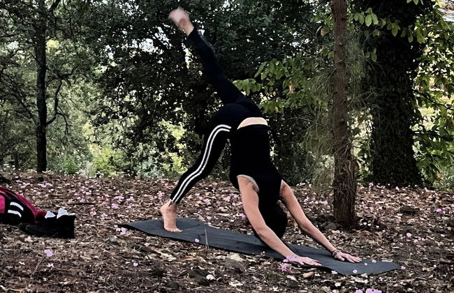 Poggio Roseto - Foto 36