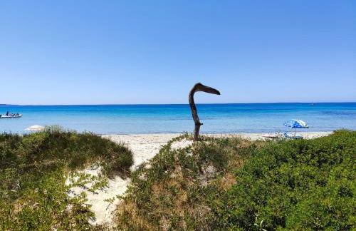 Da Tziu Efisiu Mare e Relax nel Sinis - Foto 39